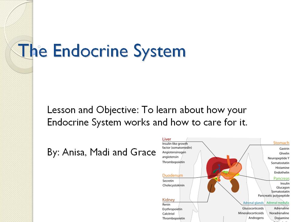The Endocrine System:)