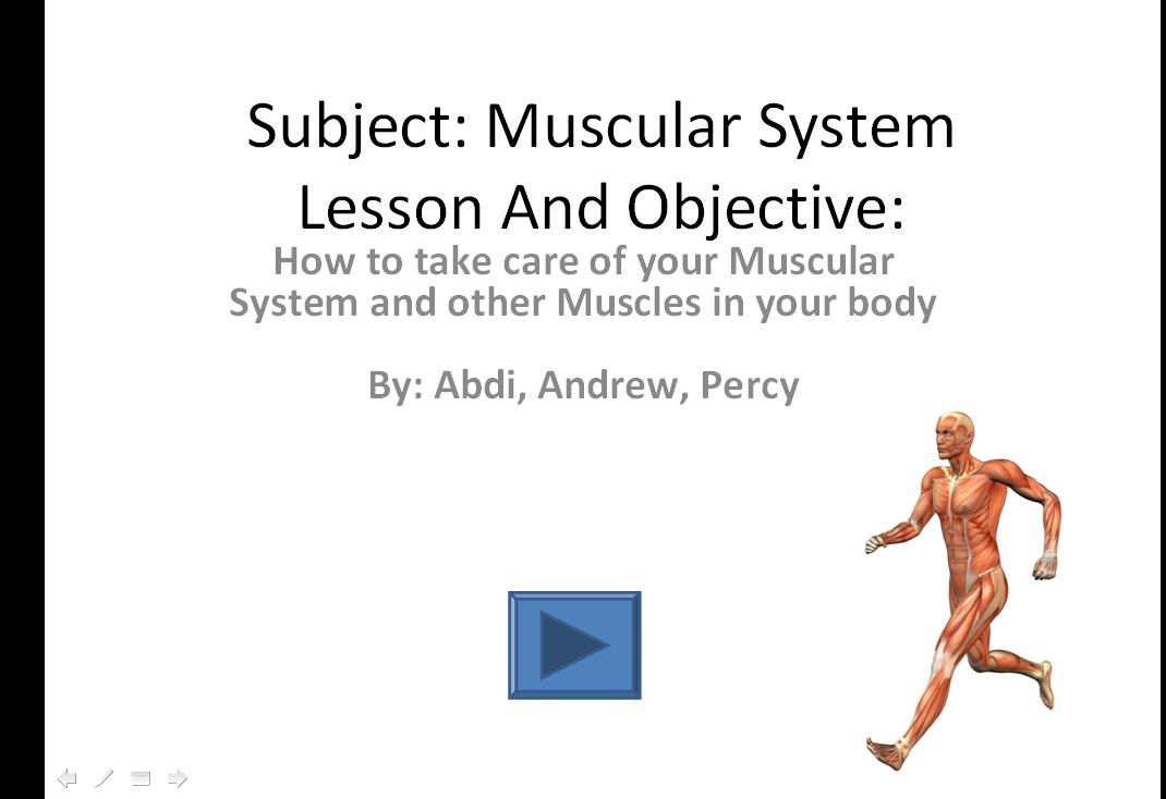 Muscular System