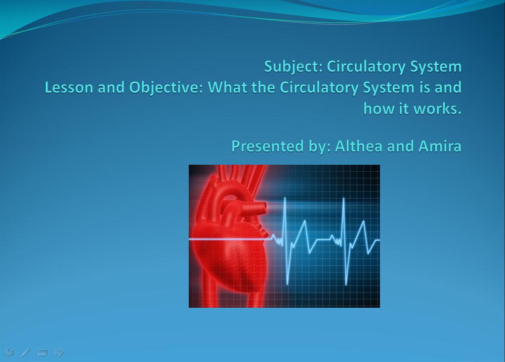 The Circulatory System