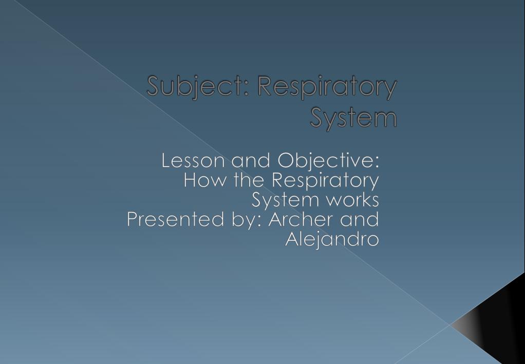 the respiratory