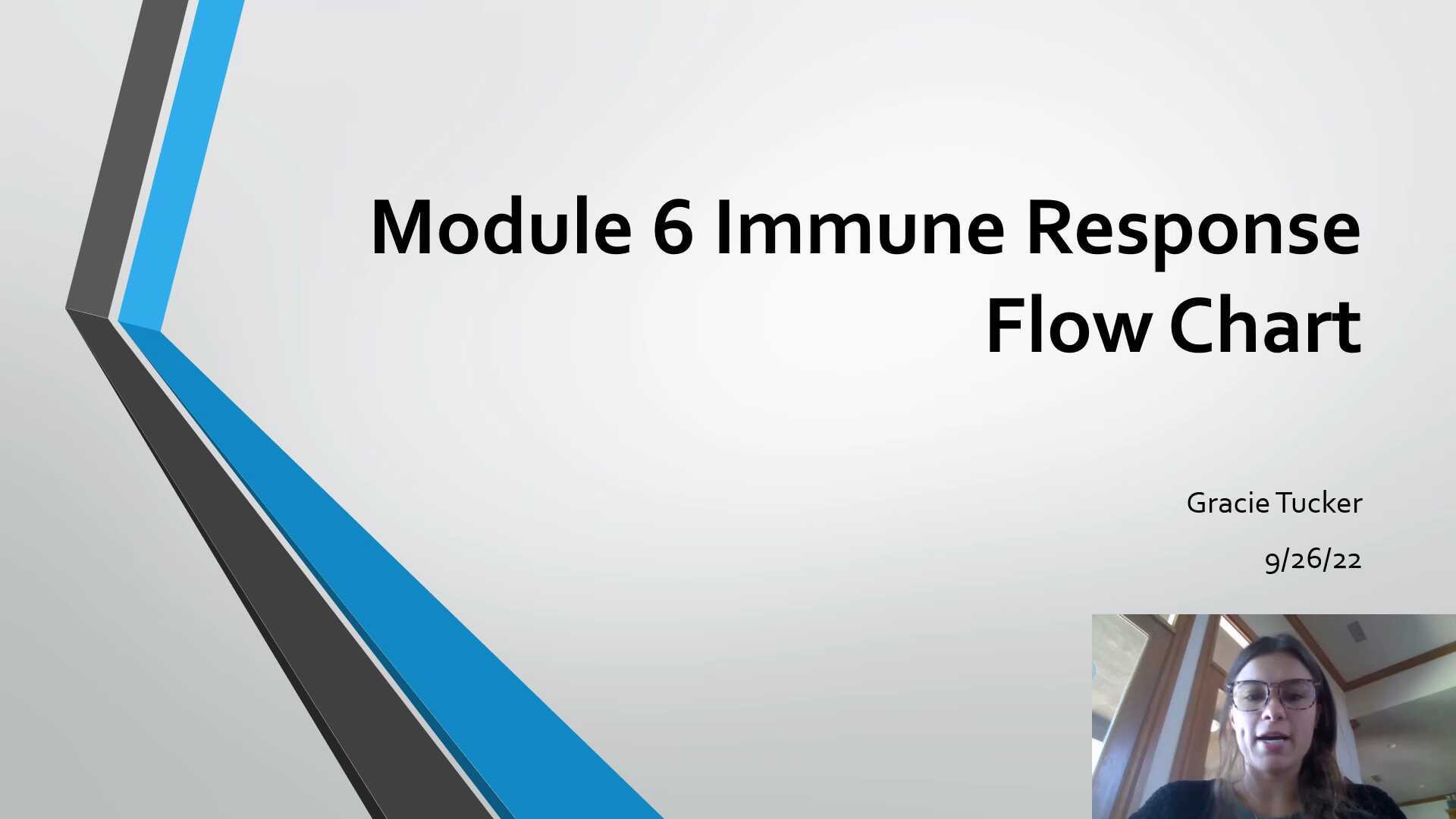 immune response flow chart