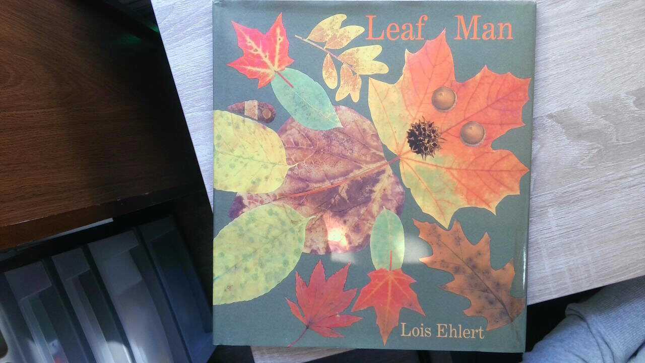 Leaf Man Read Aloud