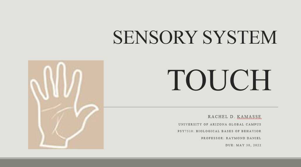 sensory-sense-the-touch-presentation