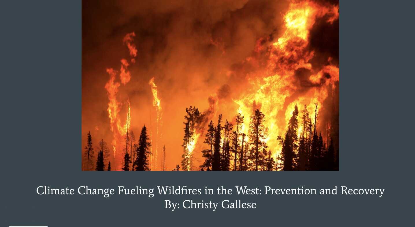 Climate Change Fueling Wildfires in the West Prevention and Recovery