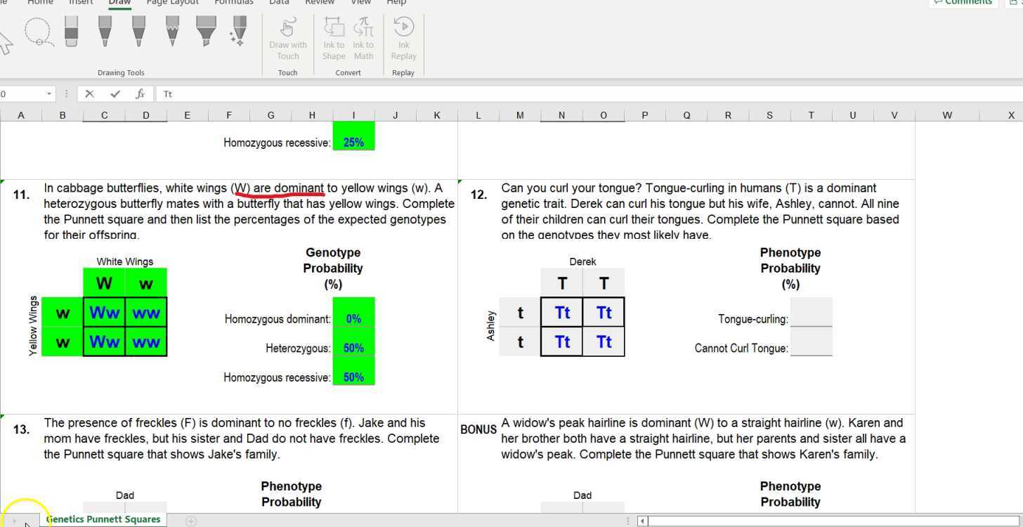 Digital Punnett Square Worksheet Help Video 3